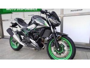 Z 500 SE (2024 - 26)