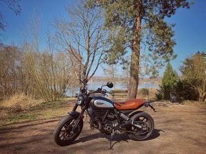DUCATI SCRAMBLER ICON DARK 800