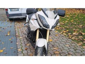 VENDO TRIUMPH TIGER 1050 (2006 - 12) USATA A ROSA' (CODICE 9880571) - MOTO.IT