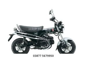 HONDA DAX 125 6 JAHRE GARANTIE MÖGLICH