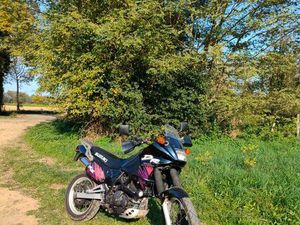 SUZUKI 650 DR RSE