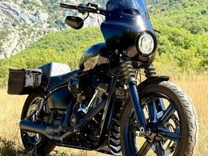 HARLEY DAVIDSON SOFTAIL STREET BOB 114
