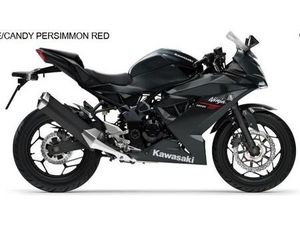 KAWASAKI NINJA 125 MODELL 2026 !! ALLE FARBEN AM LAGER