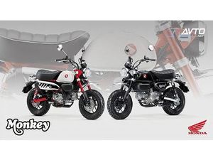 HONDA Z125MA MONKEY ABS