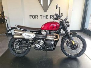 TRIUMPH SCRAMBLER 400 X