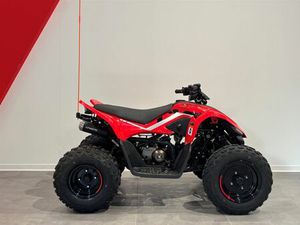 CFMOTO CFORCE 110