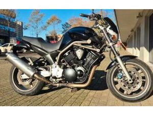 YAMAHA BT1100 BULLDOG V-TWIN MUSCLE 2X — MOTOREN | YAMAHA — MARKTPLAATS