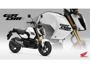 HONDA MSX 125 GROM 2025 *TZ 10/25* ALLE FARBEN*