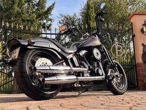 HARLEY DAVIDSON CROSS BONES
