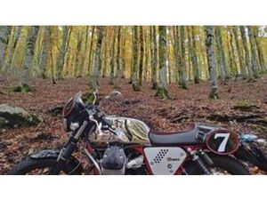 V7 RACER (2012 - 14)