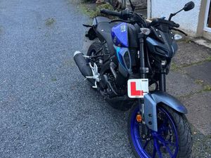 YAMAHA, MT-125, 2025, 125 (CC)