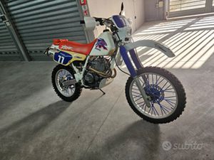 XR 250 ISCRITTA FMI