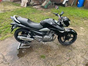 SUZUKI GW 250 INAZUMA