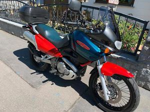 SUZUKI XF 650 FREEWIND