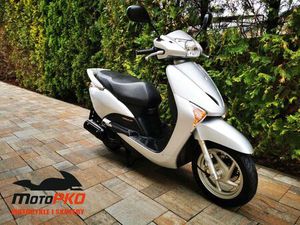 HONDA LEAD MOTOPKO TRANSPORT GRATIS BOGUMILOWICE