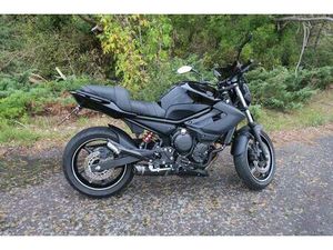 YAMAHA XJ6 RJ22 SHARK STREET GP 1 HAND
