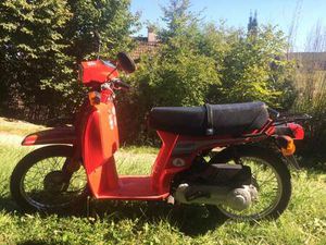 SH 50 SCOOPY