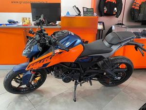 VENDO KTM 125 DUKE (2024 - 26) NUOVA A CAPUA (CODICE 9849529) - MOTO.IT