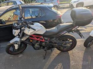 BENELLI BN 302 - 2017 ABS
