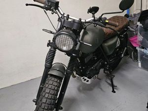 125 MUTT MASTIFF GREEN