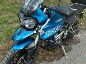 TIGER 800 XRT DEL 2018