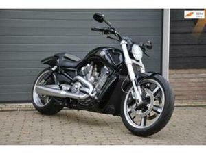 HARLEY DAVIDSON VRSCF V-ROD MUSCLE 5HD 10800 KILOMETERS! — MOTOREN | HARLEY-DAVIDSON — MARKTPLAATS