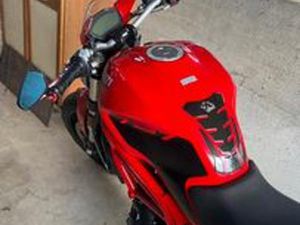 DUCATI MONSTER 797 PLUS