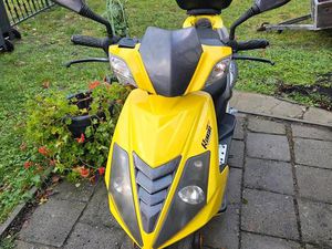 ROLLER RACE EXPLORER 50 CCM