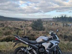 SUZUKI BANDIT GSX 1250 FA 2010 1255 (CC)