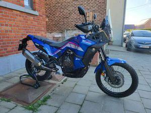 WORLD RALLY PETERHANSEL