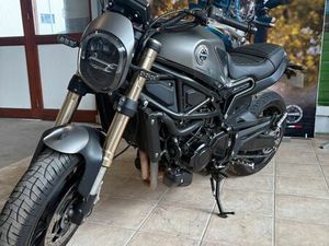 BENELLI LEONCINO 800