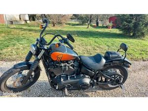 HARLEY STREET BOB
