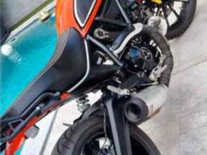 DUCATI - SCRAMBLER 800