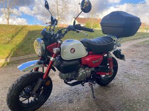 HONDA MONKEY 125 2025 EN FIN DE RODAGE