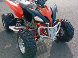 250 RAPTOR HOMOLOGUÉ