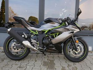 KAWASAKI NINJA 125 - 2026 - NEU