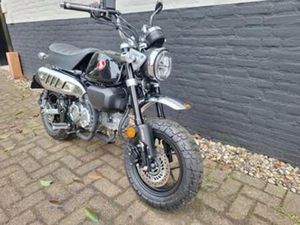 HONDA MONKEY Z125 ABS A1 BOUWJAAR 2025 91KM! — MOTOREN | HONDA — MARKTPLAATS