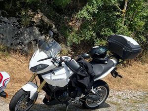 TRIUMPH TIGER 1050