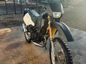 SUZUKI - SUSUKI RMX 50