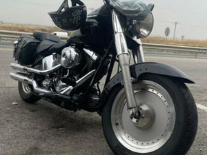 HARLEY DAVIDSON - FAT BOY