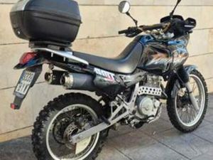 HONDA - DOMINATOR 650