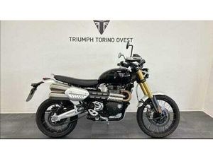 VENDO TRIUMPH SCRAMBLER 1200 XE (2024 - 25) USATA A TORINO (CODICE 9881739) - MOTO.IT