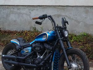 HARLEY-DAVIDSON SOFTAIL FXBBS STREET BOB CUSTOM →