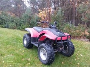 QUAD ETON YUKON LAZY