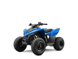 2026 CFMOTO CFORCE 110 CLASSIC