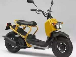 HONDA NPS50 ZOOMER CANTON BERNE -