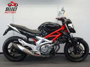 STOERE SUZUKI SFV 650 GLADIUS 2010 — MOTOREN | SUZUKI — MARKTPLAATS