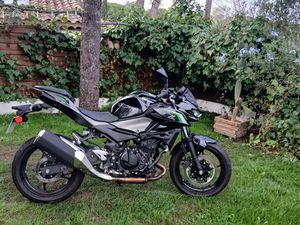 KAWASAKI Z500 2024