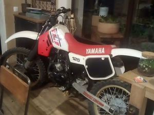 BELLE YAMAHA YZ 1984