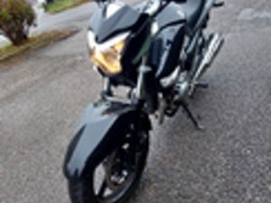 SUZUKI INAZUMA 250